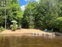 1363 ROSS LAKE ROAD | Haliburton Ontario | Slide Image Twenty-eight