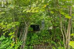 172 GREENOUGH POINT ROAD | Northern Bruce Peninsula Ontario | Slide Image Twelve