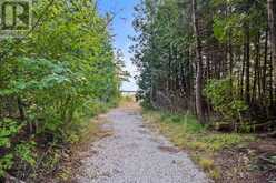 172 GREENOUGH POINT ROAD | Northern Bruce Peninsula Ontario | Slide Image Twenty-three