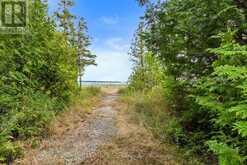 172 GREENOUGH POINT ROAD | Northern Bruce Peninsula Ontario | Slide Image Twenty-four