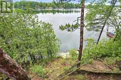 1803 CRYSTAL LAKE ROAD | Kawartha Lakes Ontario | Slide Image Twenty-seven