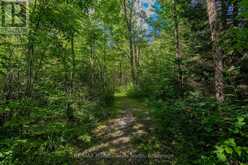 1547 NORTH PICKEREL LAKE ROAD | Magnetawan Ontario | Slide Image Fifteen