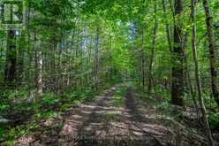 1547 NORTH PICKEREL LAKE ROAD | Magnetawan Ontario | Slide Image Thirty-three