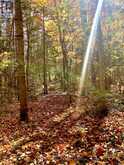 1547 NORTH PICKEREL LAKE ROAD | Magnetawan Ontario | Slide Image Forty-three