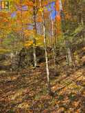 1547 NORTH PICKEREL LAKE ROAD | Magnetawan Ontario | Slide Image Forty-four