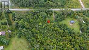 3120 GELERT ROAD | Minden Hills Ontario | Slide Image Forty-five