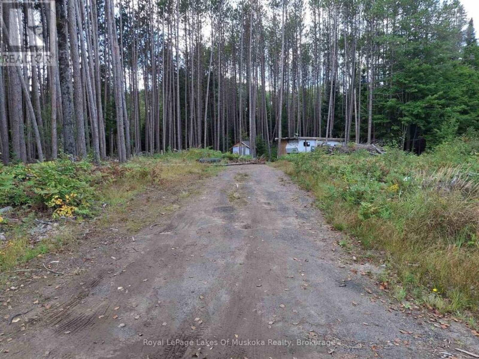 1318 OLD NORTH ROAD, Huntsville, Ontario P1H 2J4