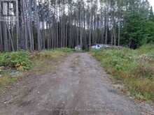 1318 OLD NORTH ROAD | Huntsville Ontario | Slide Image One