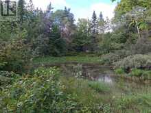 1318 OLD NORTH ROAD | Huntsville Ontario | Slide Image Nine