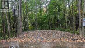 LOT 1 TALLY-HO WINTER PARK ROAD | Huntsville Ontario | Slide Image Two