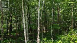 LOT 1 TALLY-HO WINTER PARK ROAD | Huntsville Ontario | Slide Image Three