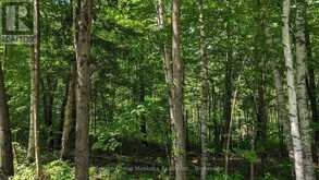 LOT 1 TALLY-HO WINTER PARK ROAD | Huntsville Ontario | Slide Image Four