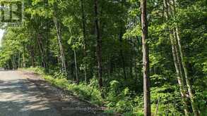 LOT 1 TALLY-HO WINTER PARK ROAD | Huntsville Ontario | Slide Image Five