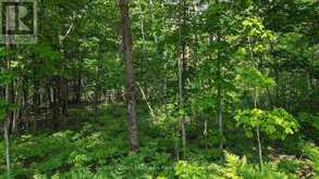 LOT 1 TALLY-HO WINTER PARK ROAD | Huntsville Ontario | Slide Image Six