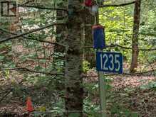 1235 STAUNTON ROAD PRIVATE | Bracebridge Ontario | Slide Image Two