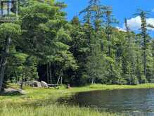 1235 STAUNTON ROAD PRIVATE | Bracebridge Ontario | Slide Image Four