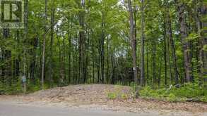 LOT 2 TALLY-HO WINTER PARK ROAD | Huntsville Ontario | Slide Image Two