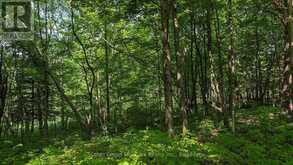 LOT 2 TALLY-HO WINTER PARK ROAD | Huntsville Ontario | Slide Image Three
