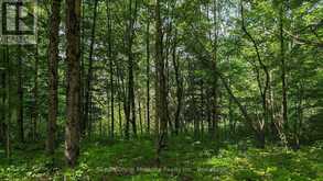 LOT 2 TALLY-HO WINTER PARK ROAD | Huntsville Ontario | Slide Image Four