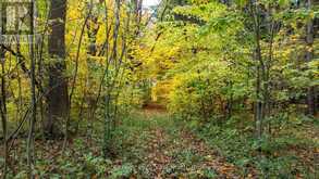 609830 12TH SIDE ROAD | The Blue Mountains Ontario | Slide Image Twenty-eight