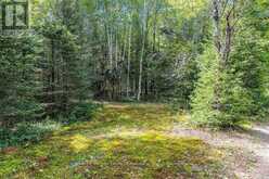 0 KENT ROAD | Sundridge Ontario | Slide Image Eight