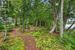 16 - 49 WOLF TRAIL | Emsdale Ontario | Slide Image Thirty-nine