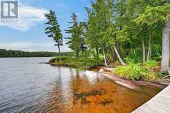 16 - 49 WOLF TRAIL | Emsdale Ontario | Slide Image Forty-one