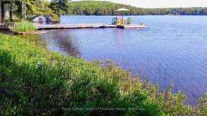 16 - 49 WOLF TRAIL | Emsdale Ontario | Slide Image Forty-seven