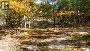 13 RIDGEWAY DRIVE | Carling Ontario | Slide Image Nine