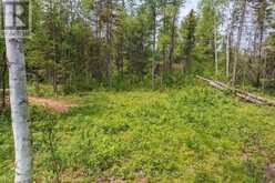 0 STONEWAY ROAD | Kearney Ontario | Slide Image Eight