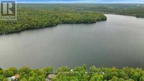 1036 BAD HABIT TRAIL | Haliburton Ontario | Slide Image Twelve
