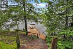 1036 BAD HABIT TRAIL | Haliburton Ontario | Slide Image Thirty-seven