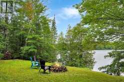 1036 BAD HABIT TRAIL | Haliburton Ontario | Slide Image Forty-two