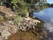 1019 ARROWHEAD DRIVE | Haliburton Ontario | Slide Image Thirty-three