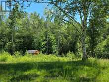 1044 SHANAHAN TRAIL | Minden Hills Ontario | Slide Image Thirty-four