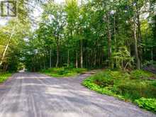 1316 CARLSMOUNT ROAD E | Bracebridge Ontario | Slide Image Ten