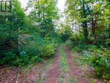 1316 CARLSMOUNT ROAD E | Bracebridge Ontario | Slide Image Twelve