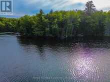 1316 CARLSMOUNT ROAD E | Bracebridge Ontario | Slide Image Two