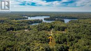 290 RANKIN LAKE ROAD | Seguin Ontario | Slide Image Forty