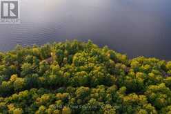 1155 WOLF CIRCLE | Lake of Bays Ontario | Slide Image Sixteen
