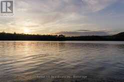 1155 WOLF CIRCLE | Lake of Bays Ontario | Slide Image Thirty-seven