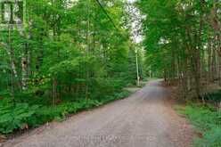1155 WOLF CIRCLE | Lake of Bays Ontario | Slide Image Thirty-nine