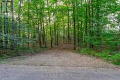 1155 WOLF CIRCLE | Lake of Bays Ontario | Slide Image Forty