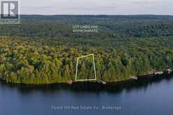 1155 WOLF CIRCLE | Lake of Bays Ontario | Slide Image Nine
