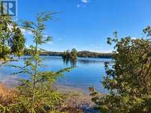 26 BLAIR POINT ROAD | Rosseau Ontario | Slide Image One