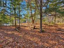 26 BLAIR POINT ROAD | Rosseau Ontario | Slide Image Four