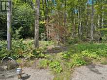 1211 PLUTO TRAIL | Haliburton Ontario | Slide Image Thirty-two