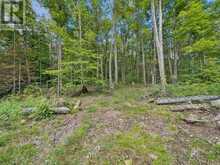 1211 PLUTO TRAIL | Haliburton Ontario | Slide Image Thirty-three