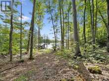 1211 PLUTO TRAIL | Haliburton Ontario | Slide Image Thirty-four