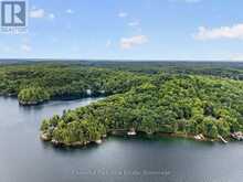 1119 - 28 SKELETON LAKE 2 Road | Utterson Ontario | Slide Image One